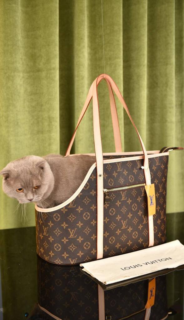 Переноска для животных Louis Vuitton Турция ПОД ЗАКАЗ 5037