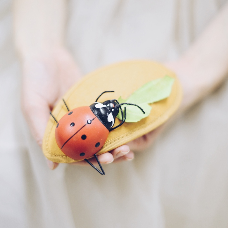 Необычная шляпка с божьей коровкой Ladybird