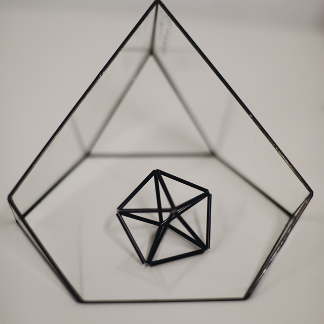 Геометрическое кольцо