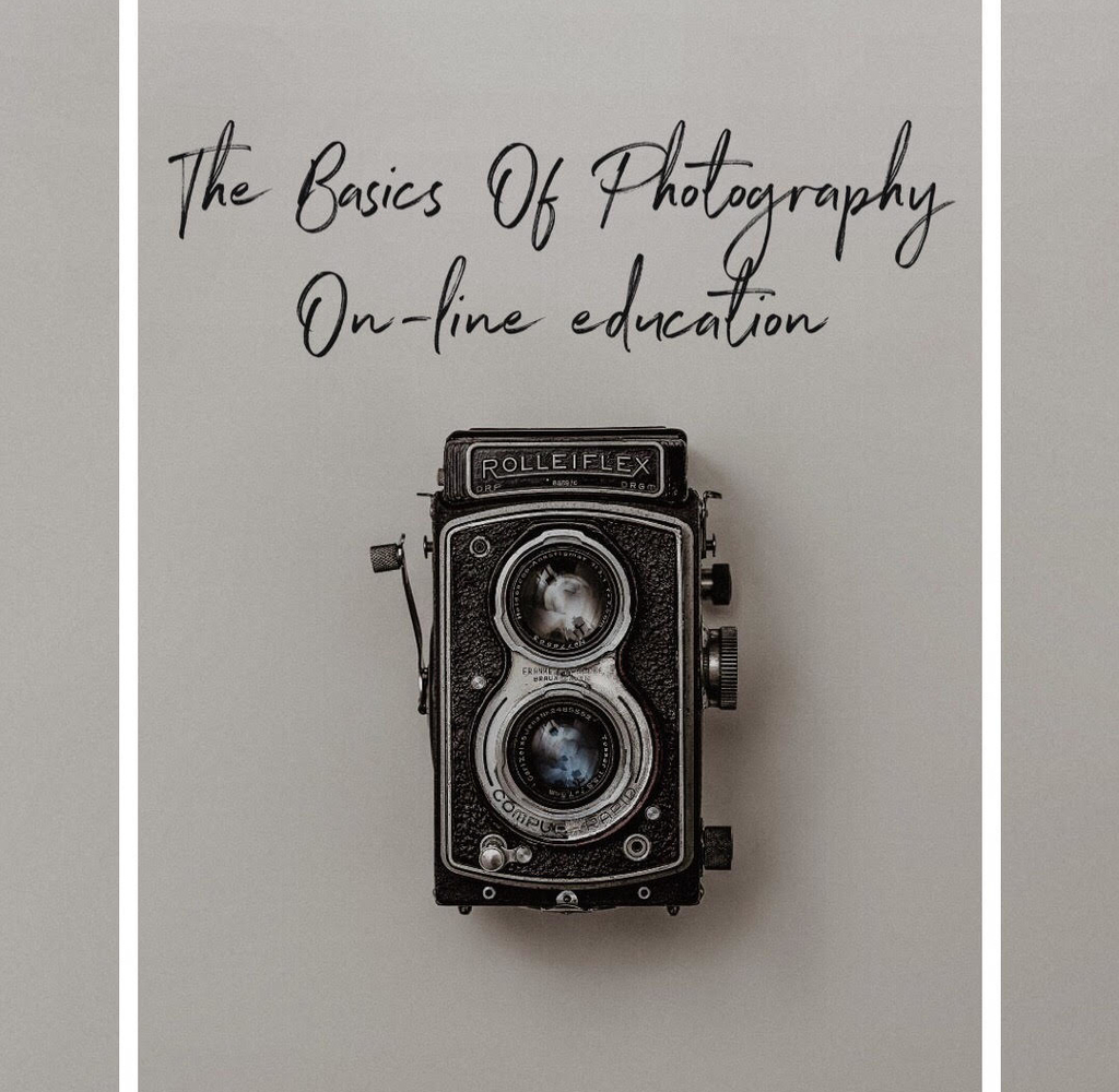The Basics Of Photography