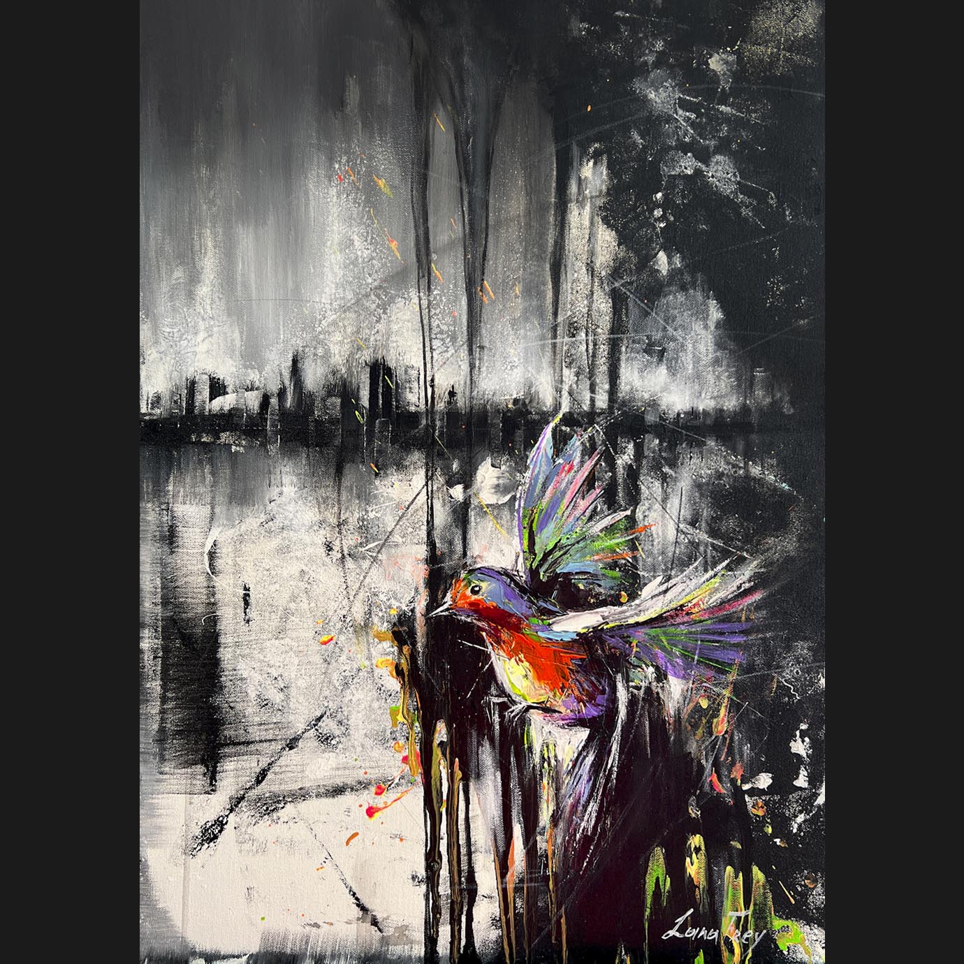 Black bird flashing in rainbow winds